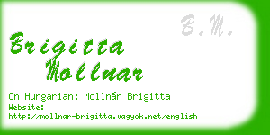 brigitta mollnar business card